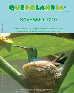 cover-nov-2010