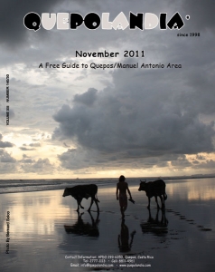 cover-nov-2011