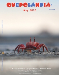 cover-may-12